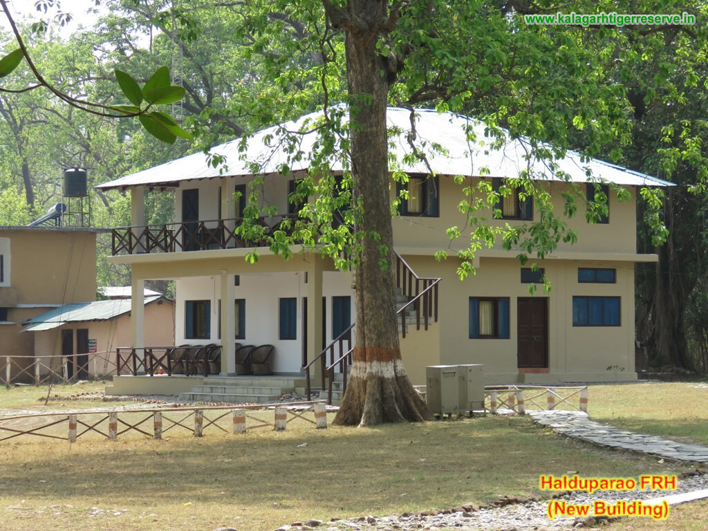 Halduparao Forest Rest House