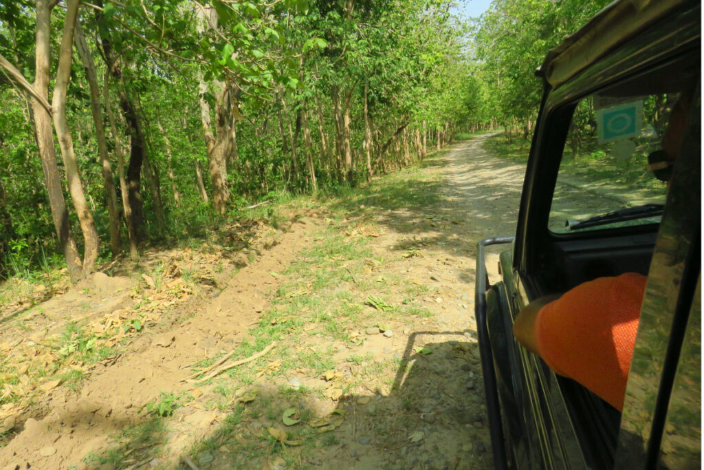 Pakhro Jungle Safari