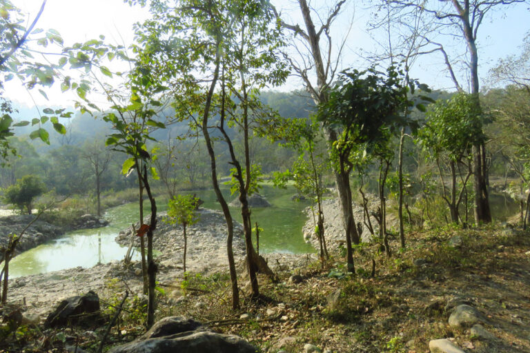 sitabani-jungle-lake